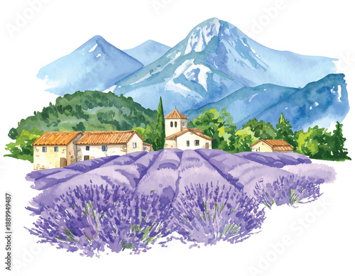Picturesque lavender fields in Provence France with watercolor illutrastion transparent background