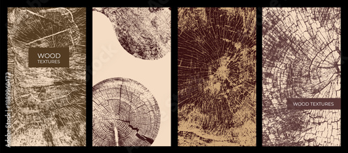 Set of posters with tree trunk cross sections and growth rings. Botanical wood texture vector illustration for menus, booklets, covers, flyers, backgrounds and eco design.