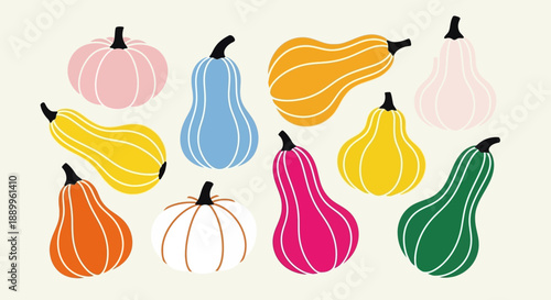 Colorful Flat Vector Pumpkins and Gourds Collection for Autumn Holidays
