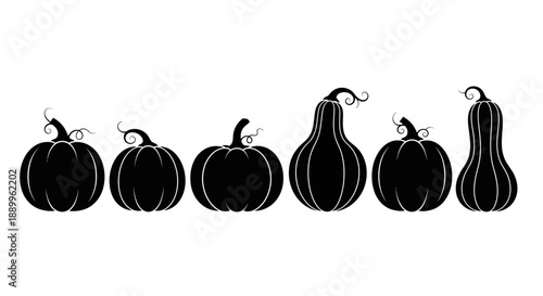 Collection of Silhouettes of Different Pumpkins and Gourds on a White Background