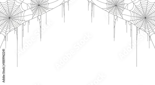 Vector Illustration of Spooky Cobwebs Hanging on a White Background, Halloween Theme