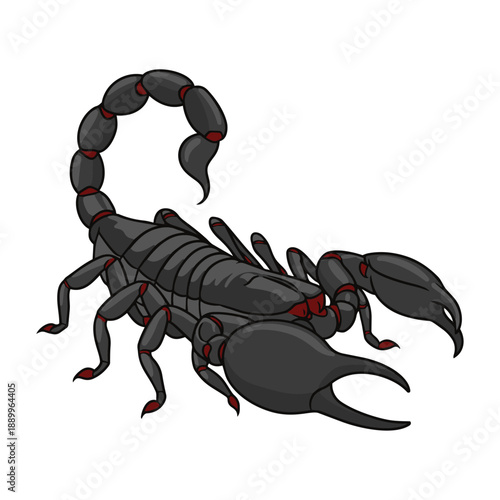 Black Scorpion Vector Illustration Isolated on White Background