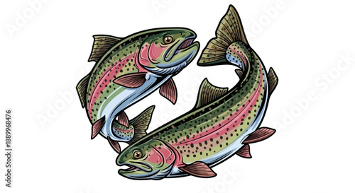 Two Rainbow Trout Fish Swimming in a Yin Yang Symbol Formation