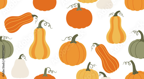 Autumn Harvest Seamless Pattern with Various Pumpkins and Gourds on White Background