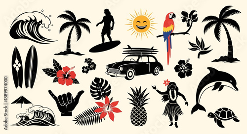 Photography Hawaiian Tropical Summer Vacation Icons and Symbols Collection