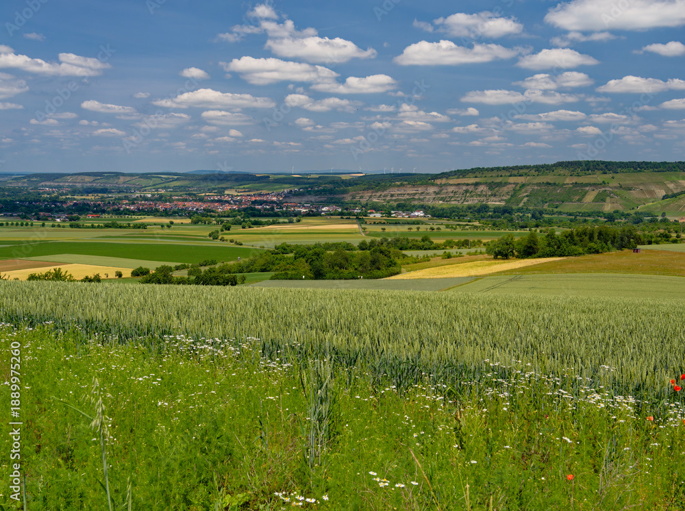 Fototapeta premium Blick vom Schwarzkiefernwald auf dem&nbsp;Volkenberg bei Erlabrunn am Main in die Mainebene zwischen Zellingen und Thüngersheim, Landkreis Würzburg, Unterfranken, Franken, Bayern, Deutschland
