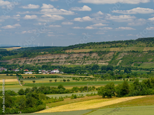 Wallpaper Mural Blick vom Schwarzkiefernwald auf dem Volkenberg bei Erlabrunn am Main in die Mainebene zwischen Zellingen und Thüngersheim, Landkreis Würzburg, Unterfranken, Franken, Bayern, Deutschland Torontodigital.ca