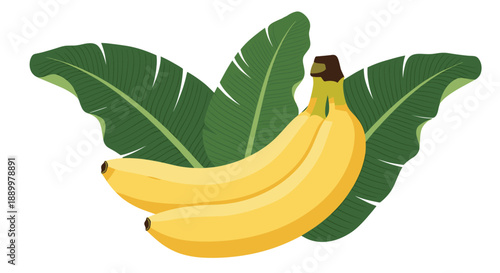 Two ripe yellow bananas are displayed in front of several large green tropical leaves, creating a fresh and healthy composition on white.