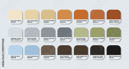 Nankeen Kestrel colors bird Color Palette with HEX Codes. Falco cenchroides color Palette with names. back brown orange mix green animal colour tone switch. Orange with nature vibe mixed color shades