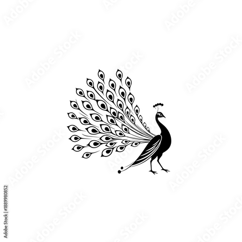 vector abstract illustration and religion peacock logo design