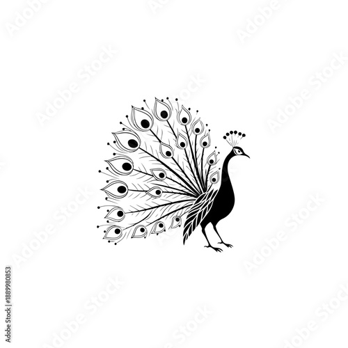 vector abstract illustration and religion peacock logo design
