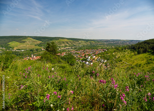 Blick vom Schwarzkiefernwald auf dem Volkenberg nach Erlabrunn am Main, Landkreis Würzburg, Unterfranken, Franken, Bayern, Deutschland
