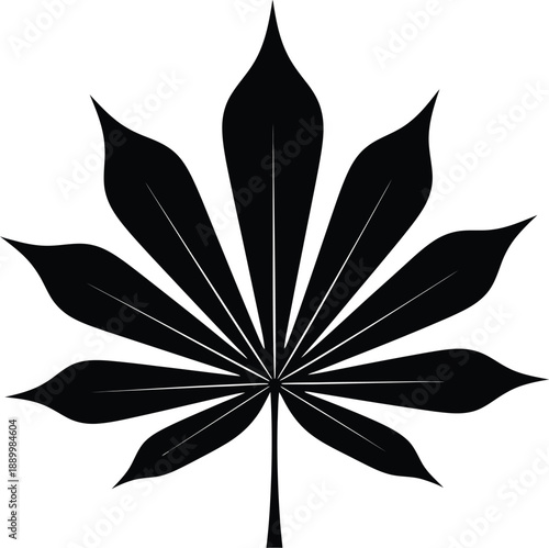 Palm Leaf Fan Silhouette Vector