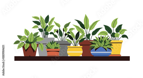 A collection of various potted houseplants sitting together on a dark shelf