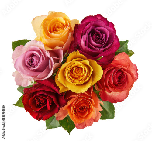Vibrant roses in diverse colors arranged in tight circle with foliage accents