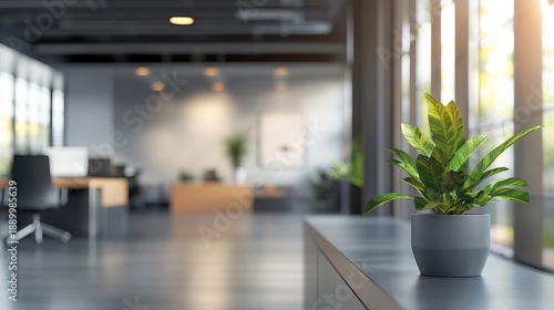 A potted plant sits on a desk in a modern office space with large windows and blurred background