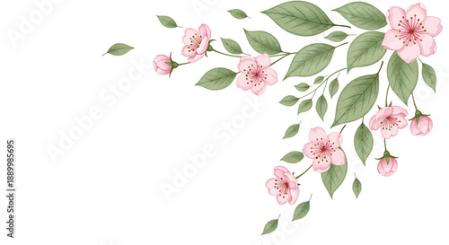 Delicate Pink Cherry Blossoms with Green Leaves Illustration