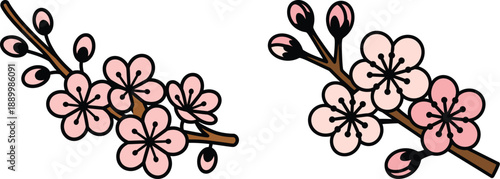 Pink cherry blossom branches with flowers and buds on transparent background