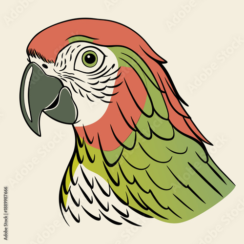 vector illustration of a parrot