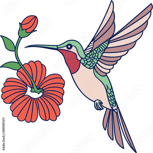 hummingbird and flowers
