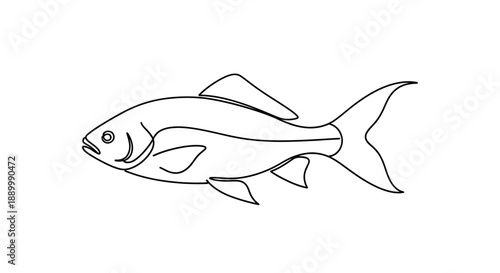 Vector illustration of a whale and tuna fish as marine animal icons featuring a cartoon shark silhouette design for aquatic nature and seafood art