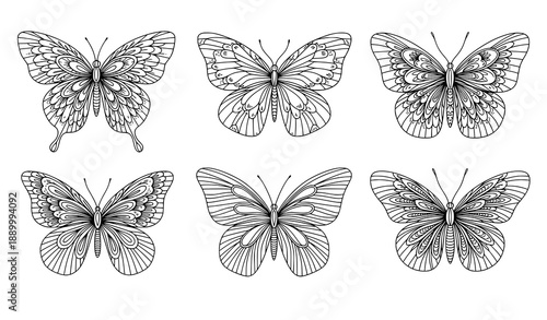 Whimsical Butterfly Line Art with Floral and Abstract Wing Patterns
