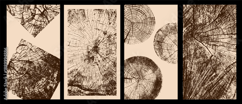 Set of wooden textures with eco concept. Tree trunk annual rings, concentric circles and walnut wood patterns. Vector templates and banners with wood section stamps for natural design.