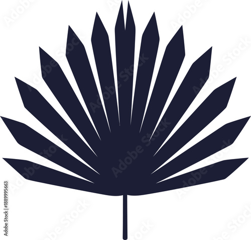 Palm Leaf Silhouette Tropical Vector