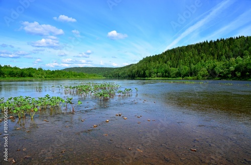 shallow waters of a mountain river