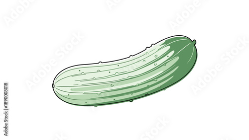 Fresh green cucumber illustration with realistic details and texture perfect for healthy eating, salad, and vegetable themes.