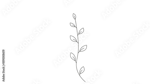 Simple black and white line art drawing of a slender plant branch with delicate leaves isolated on a plain white background.