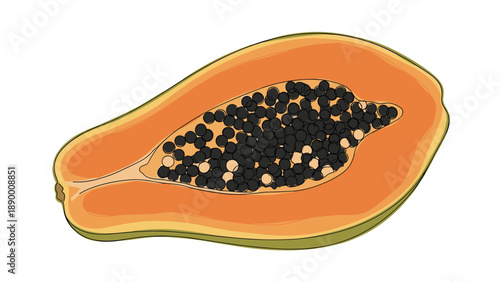 Realistic illustration of a papaya fruit cut in half showing the vibrant orange flesh and black seeds inside.