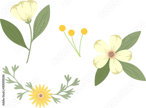 やさしいイエローカラーで描いた小花と葉のナチュラルボタニカルイラストセット｜北欧風で春夏デザインに使いやすい手描きタッチのフラワー素材