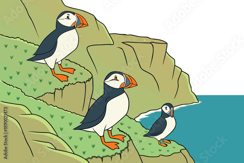 Three colorful puffins standing on a grassy coastal cliff overlooking the ocean