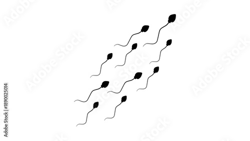 Sperm Cells Swimming Silhouette Vector Illustration for Medical and Fertility Concept
