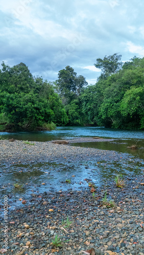 Canvas-taulu A riffle and sandbar on a mountain stream, pebble shoal on Mount Kinabalu, Borneo
