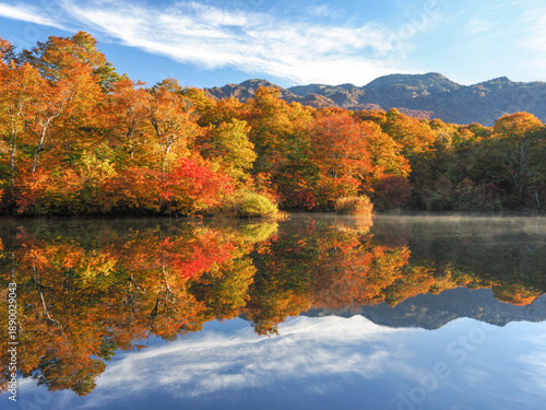 紅葉の鎌池