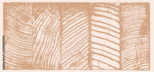 Set of pastel peaches, beige background, old wood texture, planks.  Wooden textures. Eco concept background with wood annual rings texture. Stamp of tree trunk in section. Vector background.