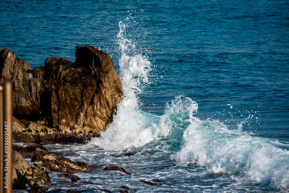 Fototapeta premium 일어서는 거센 파도