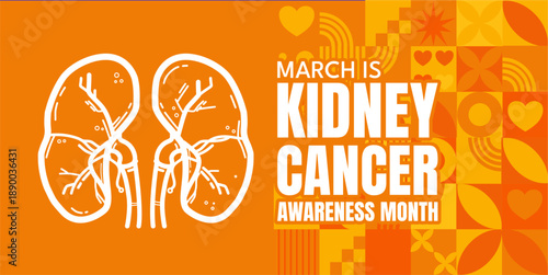 Kidney cancer awareness month banner with white kidneys line art and orange geometric pattern, vector illustration