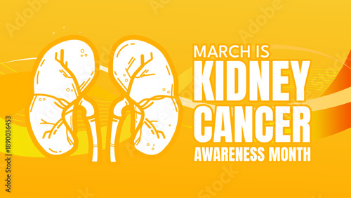 Kidney cancer awareness month banner with human kidneys line art on yellow background, vector illustration