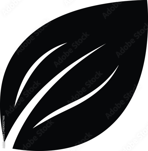 A solitary leaf illustration viewed from the side, showcasing its elegant shape and lines in a simple design