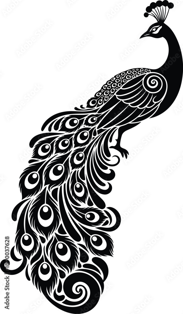 Fototapeta premium Ornate peacock illustration showcasing vibrant plumage from a side view