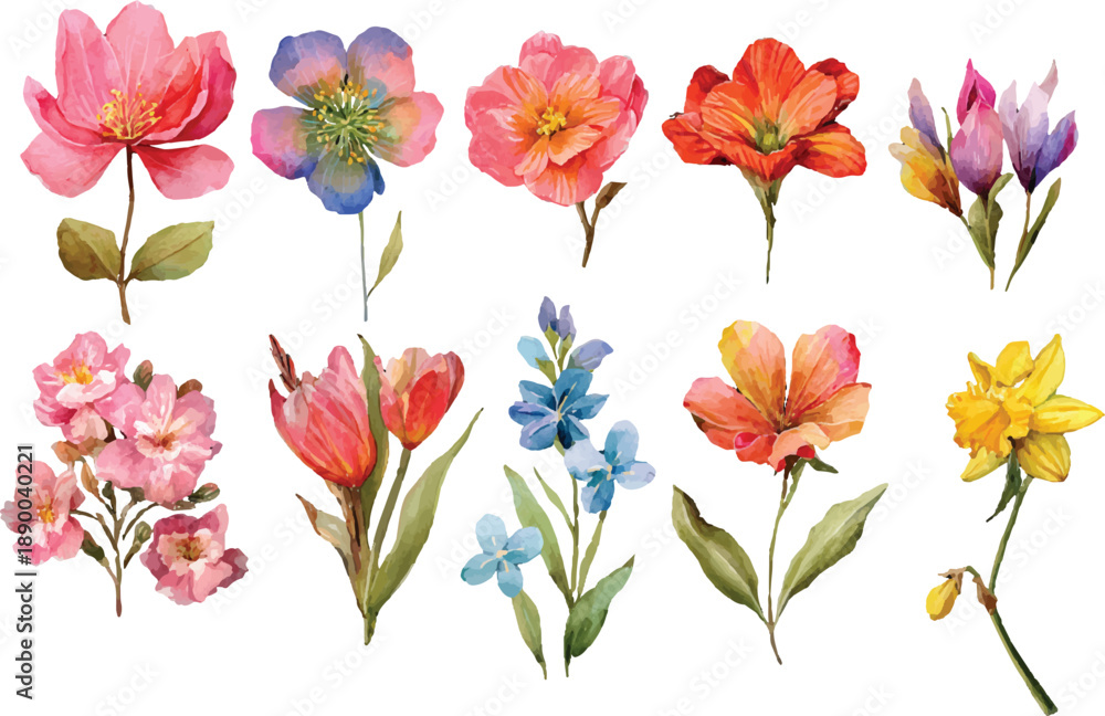 Obraz premium set of colorful flowers