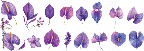 vector illustration of a set of purple flowers