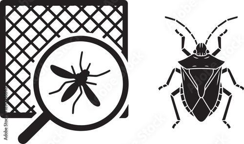 Mosquito and a screen and a shield bug inspection with a magnifying glass