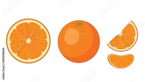 Fresh orange fruit set featuring a whole orange a half a slice and a small wedge in a clean and colorful flat style.