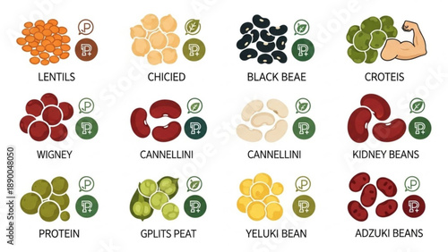 Variety of legumes and beans for healthy eating and nutrition