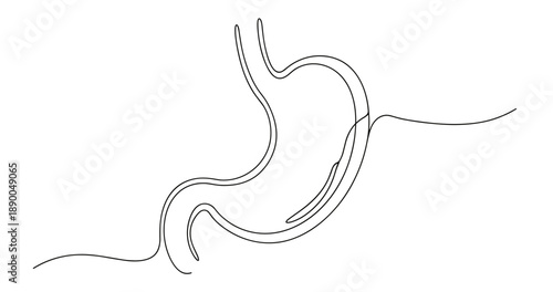 Simple line art illustration of a human stomach outline. No editable stroke