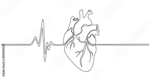 Continuous line drawing of human heart with heartbeat pulse. No editable stroke